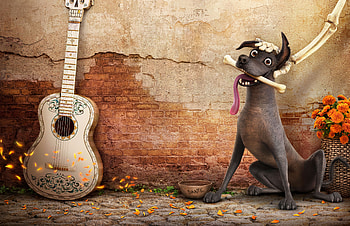 Coco, coco, animated-movies, disney, 2017-movies HD wallpaper