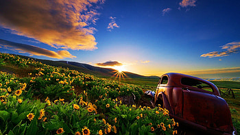 Columbia Hills State Park, Washington, sunset, blossoms, wildflowers, landscape, clouds, sky, usa HD wallpaper
