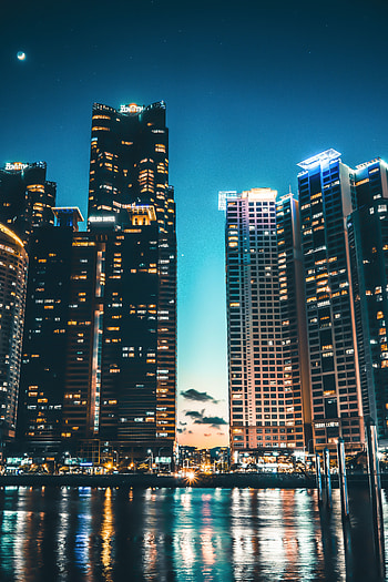 Cities, Shore, Bank, Night City, Skyscrapers, South Korea, Busan HD phone wallpaper