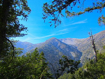 A Mountain Top view through the Woods., Beautiful, Surprising, Enchanting, Scenic HD wallpaper
