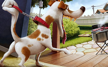Animals, Dogs HD wallpaper