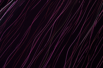 Purple Lines , purple, abstract HD wallpaper