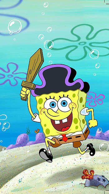 Spongebob, Funny, Cartoon HD phone wallpaper