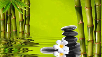 Plumeria, Flowers, Bamboo, Stones, Spa HD wallpaper