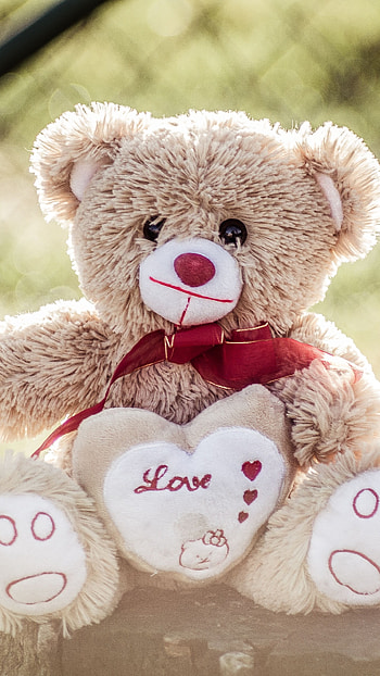 Teddy Wale, Love, Teddy Bear HD phone wallpaper