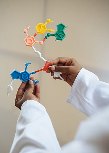 Close-up of a scientist's hands holding a colorful molecular model in a lab setting. HD phone wallpaper