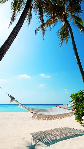 Rest time, summer, beach HD phone wallpaper