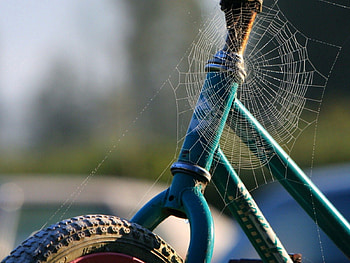 Web, Miscellanea, Miscellaneous, Old, Bicycle, Frame HD wallpaper