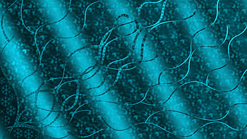 snowy ribbons, blue, snowflakes, 3d, ribbon, snow, bars HD wallpaper