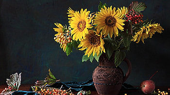 Yellow Sunflowers, Flowers, Pitcher, Still life, Berries HD wallpaper