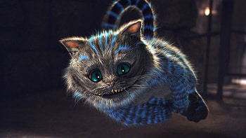 Cheshire Cat , Abstract , Vibrant colors, Surreal artwork HD wallpaper