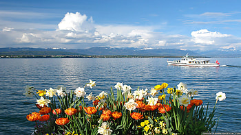 Spring Lake, clouds, nature, flowers, spring, lake HD wallpaper