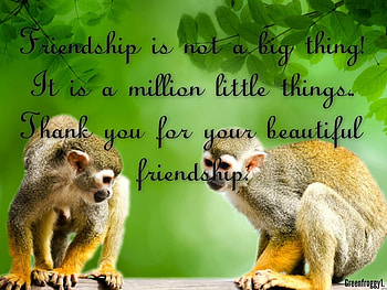 FRIENDSHIP, COMMENT, CARD HD wallpaper