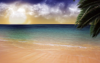 In Dreams, sea, dreams, abstract, beach HD wallpaper