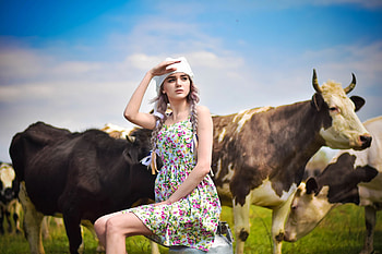 :), model, rural, woman, cow, cowgirl, girl HD wallpaper