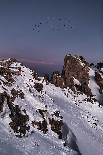 Nature, Birds, Snow, Rocks, Mountain HD phone wallpaper