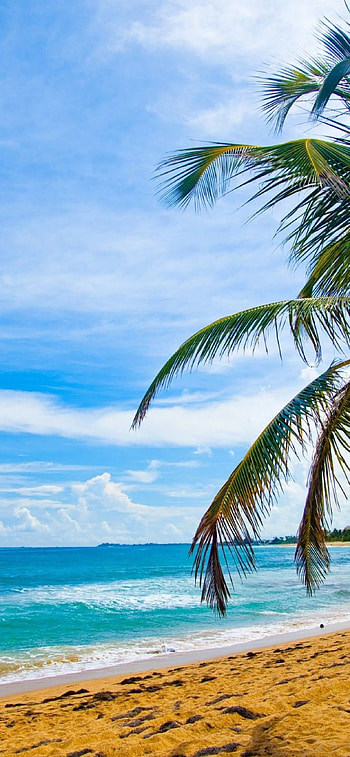 Puerto Rican, , Beach backgrounds HD phone wallpaper