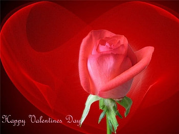 ~ ღ Happy Valentine's Day ღ ~, rose, abstract, red, Valentine Day, heart, collage HD wallpaper