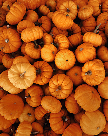 Halloween, Autumn, Vegetables, Pumpkin, Miscellanea, Miscellaneous, Harvest HD phone wallpaper
