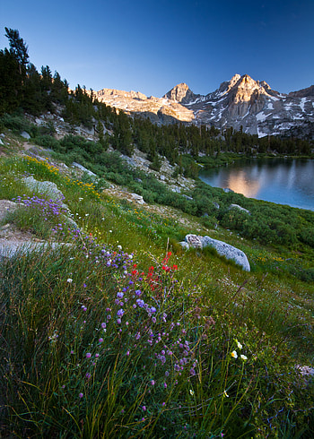 Landscape, Nature, Flowers, Grass, Mountains, Lake, Valley HD phone wallpaper