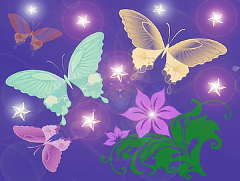 STARS & BUTTERFLIES, butterflies, colorful, stars, design HD wallpaper