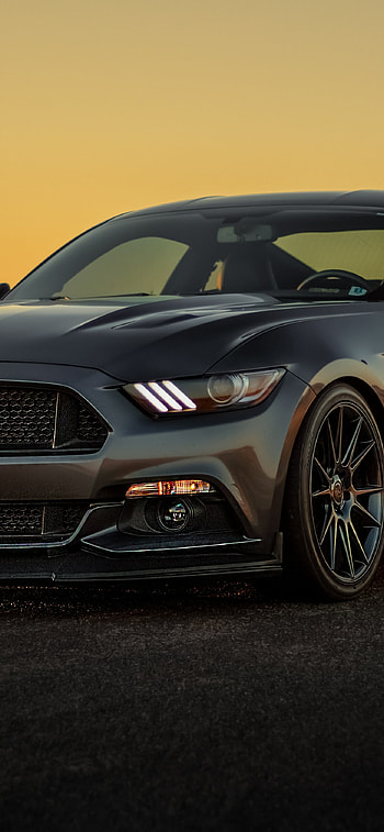 Midnight Mustang — Sleek , vehicle, Ford Mustang HD phone wallpaper