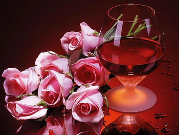 Rose--flowerdrop, rose, pink, rose in the water, lovely, water HD wallpaper
