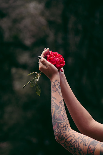 Flowers, Rose Flower, Rose, Hands, Tattoo, Tattoos HD phone wallpaper