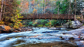 Crossing the Bridge at Fires Creek, North Carolina, river, trees, forest, usa, stones HD wallpaper
