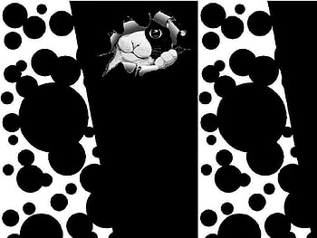 Paws, cat, feline, abstract, paw HD wallpaper