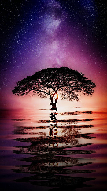 Tree water, , Refreshing nature, Serene landscapes HD phone wallpaper
