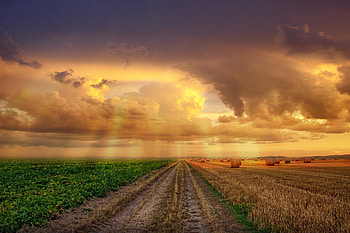 Landscape, pathway, farms, clouds, nature HD wallpaper
