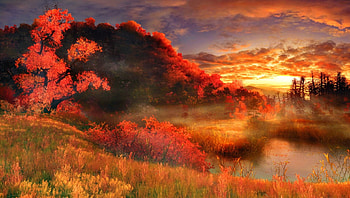 Burning mist, rays, colorful, sunlight, glow, sunrise, nice, fiery, mist, quiet, shore, shine, trees, autumn, amazing, burn, calm, sun, pond, sunset, fall, beautiful, lake, falling, red, nature, sky, lovely, foliage HD wallpaper