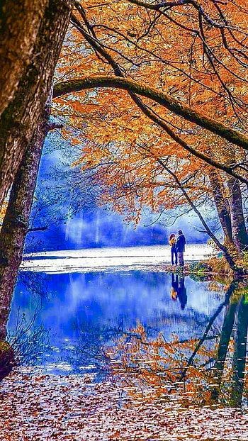 Beautiful For, Adorable graphy HD phone wallpaper