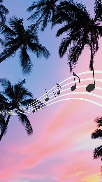 Sunset and music, cloud, sky, palmtree, pink, blue, tree, paradise HD phone wallpaper