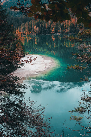 Nature, Lake, Shore, Bank, Miscellanea, Miscellaneous, Human, Person, Loneliness HD phone wallpaper