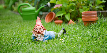 Garden gnome, Elusive creature, Enchanted folklore, Mysterious presence HD wallpaper