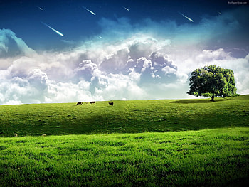 Fantasy field, sky, nature, grass, cloud, tree HD wallpaper