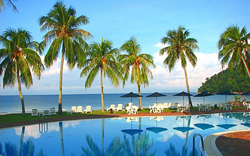 Beach, palms, pool, terrace HD wallpaper