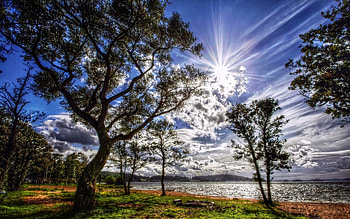 Spring, Nature, Trees, Grass, Sun, Clouds, Shore, Bank, Shine, Light, Colors, Color HD wallpaper