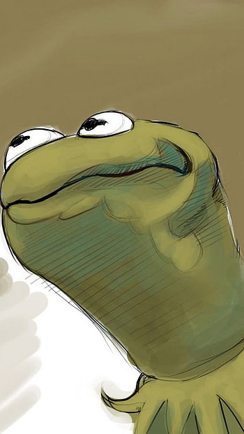 Funny Memes, Kermit, Frog HD phone wallpaper