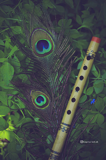 Baansuri ideas. lord krishna , krishna , krishna flute, Bamboo Flute HD phone wallpaper