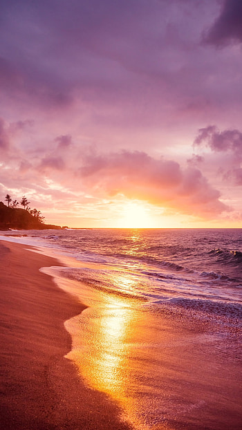 nature, beach HD phone wallpaper