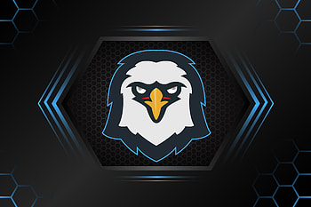 Eagle Minimalism Logo , eagle, minimalism, minimalist, artist, artwork, digital-art, behance HD wallpaper