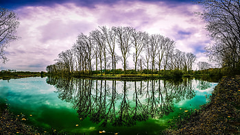 Trees, lake, reflections HD wallpaper