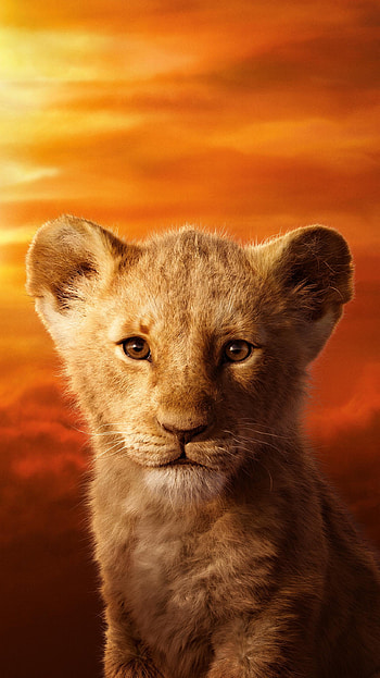 The Lion King (2022) movie HD phone wallpaper