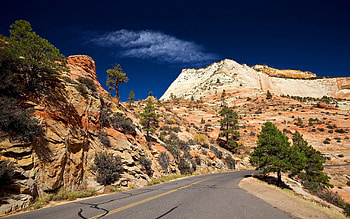 Nature, Desert, Road, Turn, Vegetation HD wallpaper
