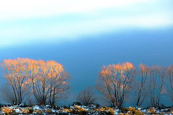 Beautiful Scenery Of 2016, nature, scenery, trees, sky HD wallpaper