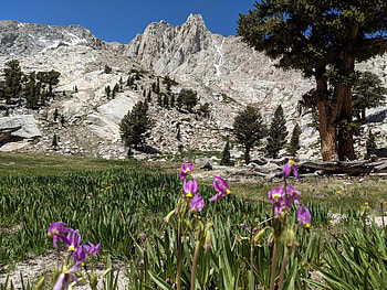 Mount Irvine, Travels HD wallpaper
