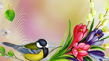 Bird and Crocus, leaves, bird, crocus, blossoms, flowers, spring HD wallpaper